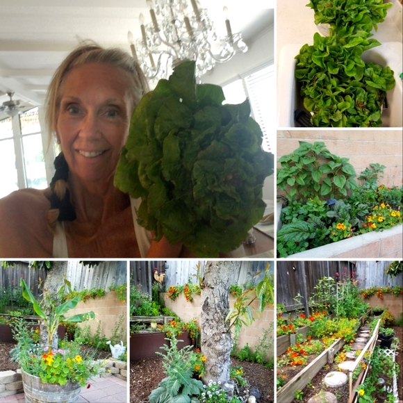 About Sazzle Dazzle✅️FOLLOW LIKE ❤️ Main Listing For Live Show Notifications - Picture 8 of 16